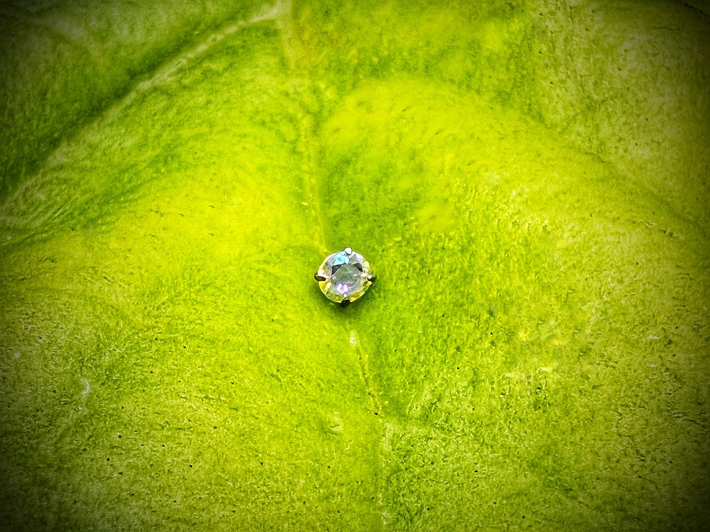 Top con circonita multicolor de titanio grado implante 1,2mm