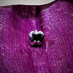 Top de titanio grado implante con circonita negra en forma de corazón de 1,2mm