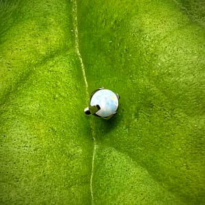 Bola de ópalo blanco engastada en titanio grado implante 1,2mm