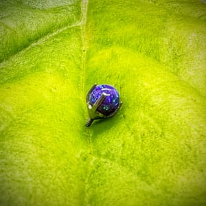 Bola de ópalo lavanda engastada en titanio grado implante 1,2mm