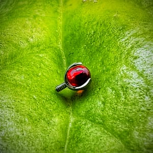 Bola roja engastada en titanio grado implante 1,2mm