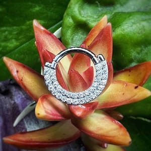 Aro clicker con doble fila de circonitas blancas de 1,2X8mm