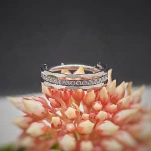 Aro de titanio grado implante con circonitas blancas de 1,2x8mm