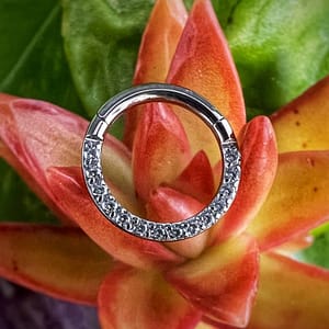 Aro de titanio grado implante con circonitas blancas frontales de 1,2x8mm