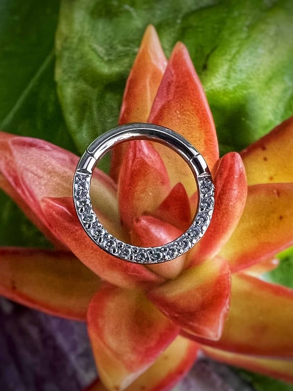 Aro de titanio grado implante con circonitas blancas frontales de 1,2x8mm