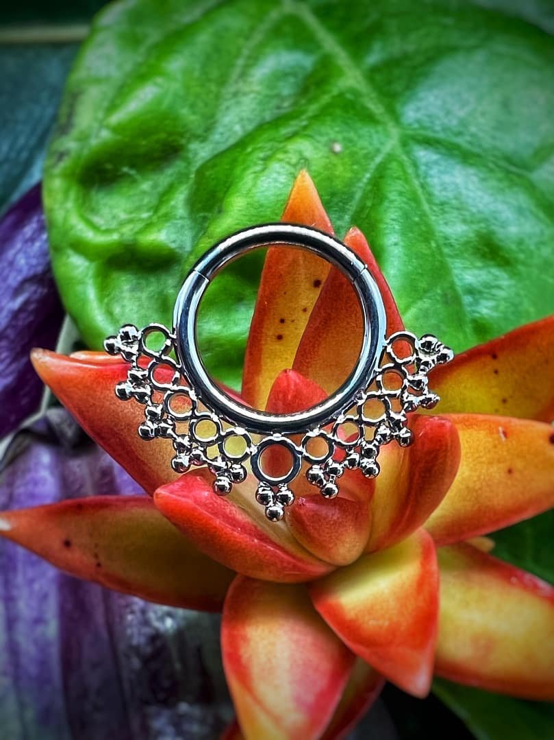 Aro corona de titanio grado implante de 1,2x8mm