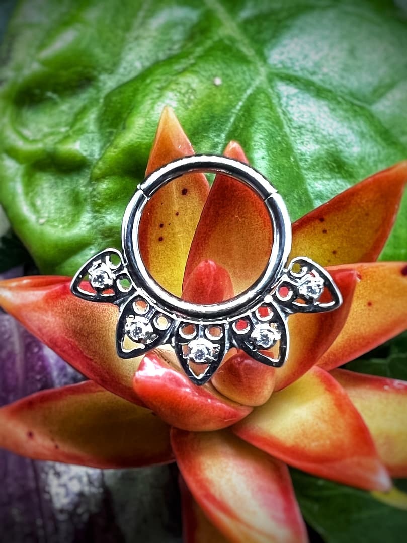 Aro de titanio grado implante con corona de pétalos de 1,2x8mm