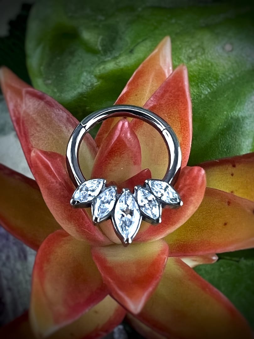 Aro de titanio grado implante con corona de circonitas blancas de 1,2x8mm