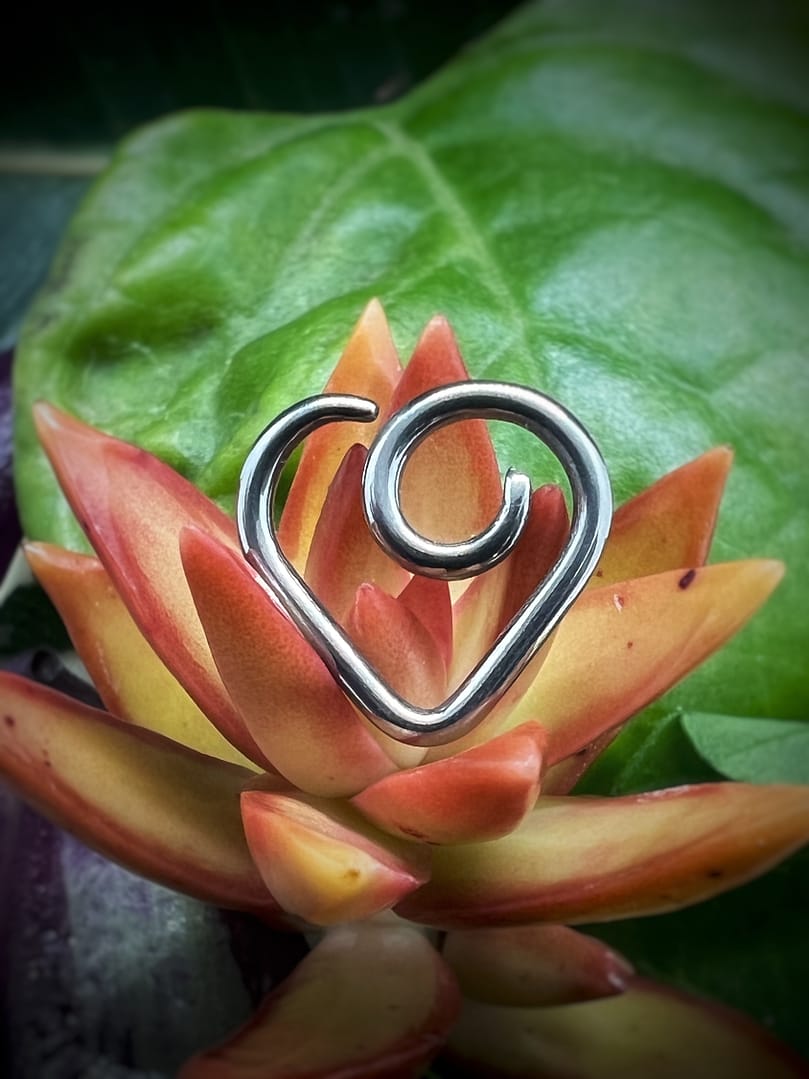 Aro en forma de corazón de titanio grado implante de 1,6x10mm