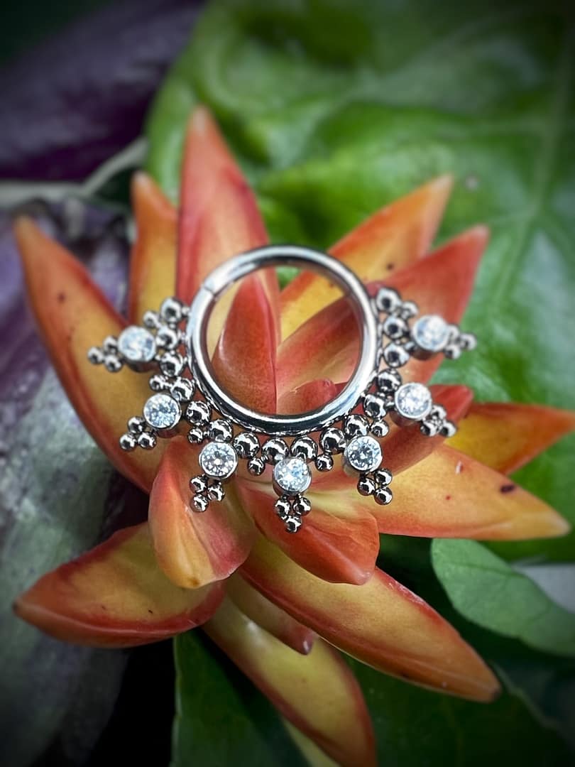 Aro de titanio grado implante Fantasy Corona con circonitas blancas de 1,2X8mm.jpg