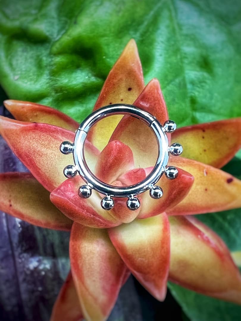 Aro de titanio grado implante con corona simple de 1,2x8mm