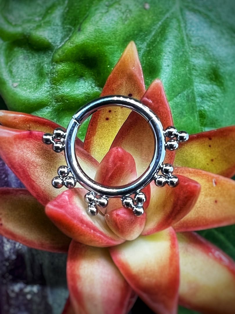 Aro de titanio grado implante con corona de 1,2x8mm