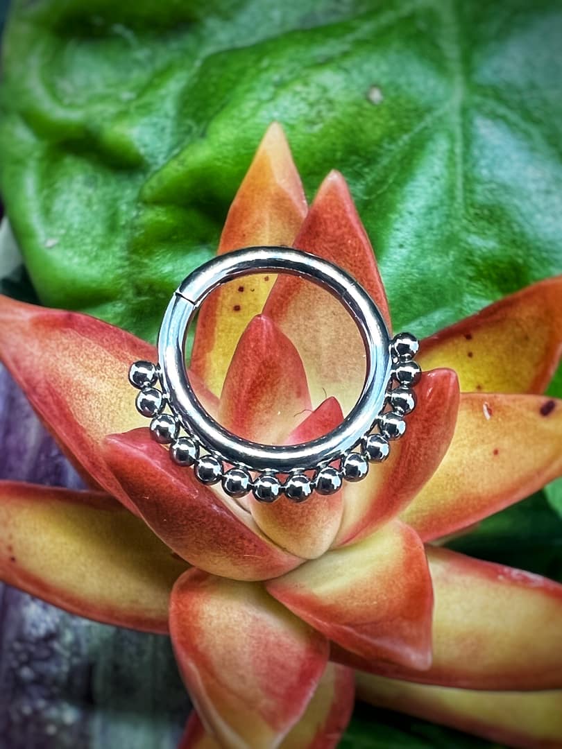 Aro de titanio grado implante con corona de  1,2x8mm