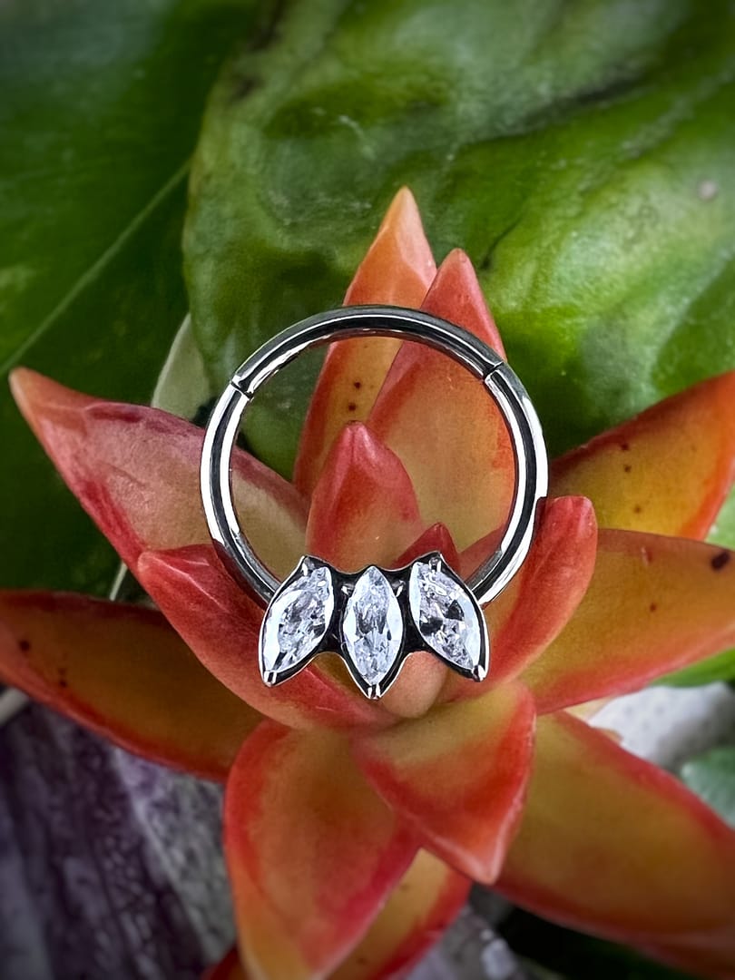 Aro de titanio grado implante con corona de circonitas blancas de 1,2x8mm