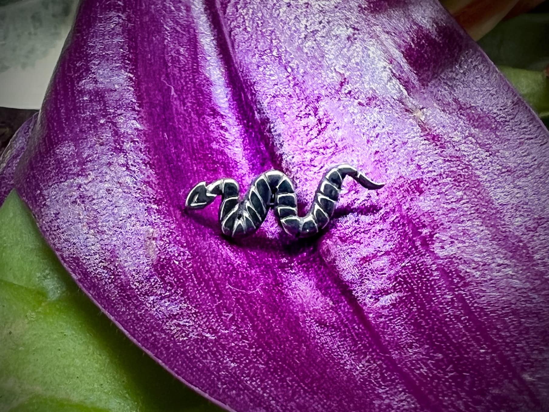 serpiente-de-titanio-grado-implante-de-1-2mm-septumestudio